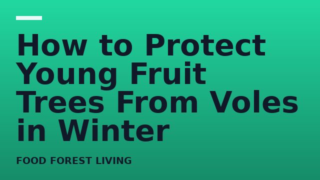 How to Protect Young Fruit Trees From Voles in Winter